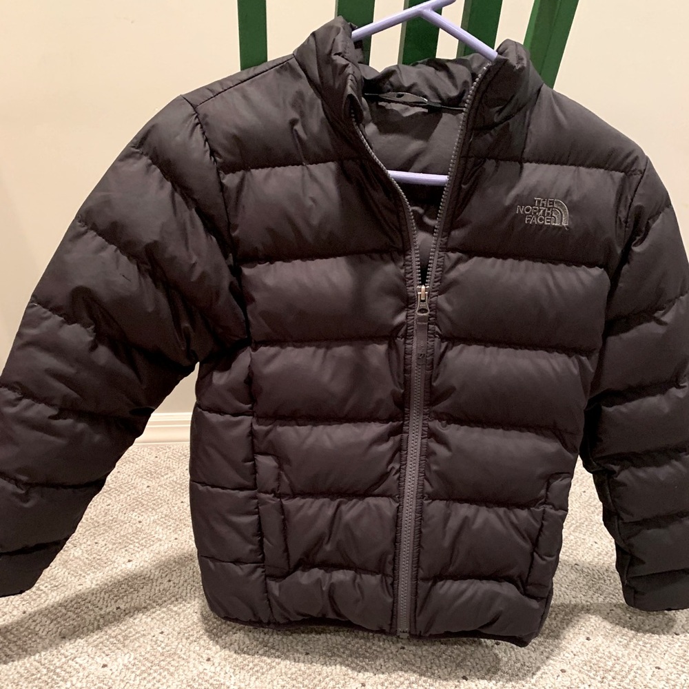 North face Andes winter Jacket